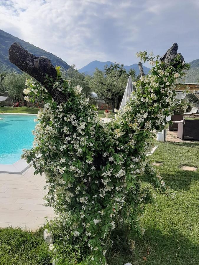 Alloggio Turistico L'Ulivo Monte San Biagio Buitenkant foto